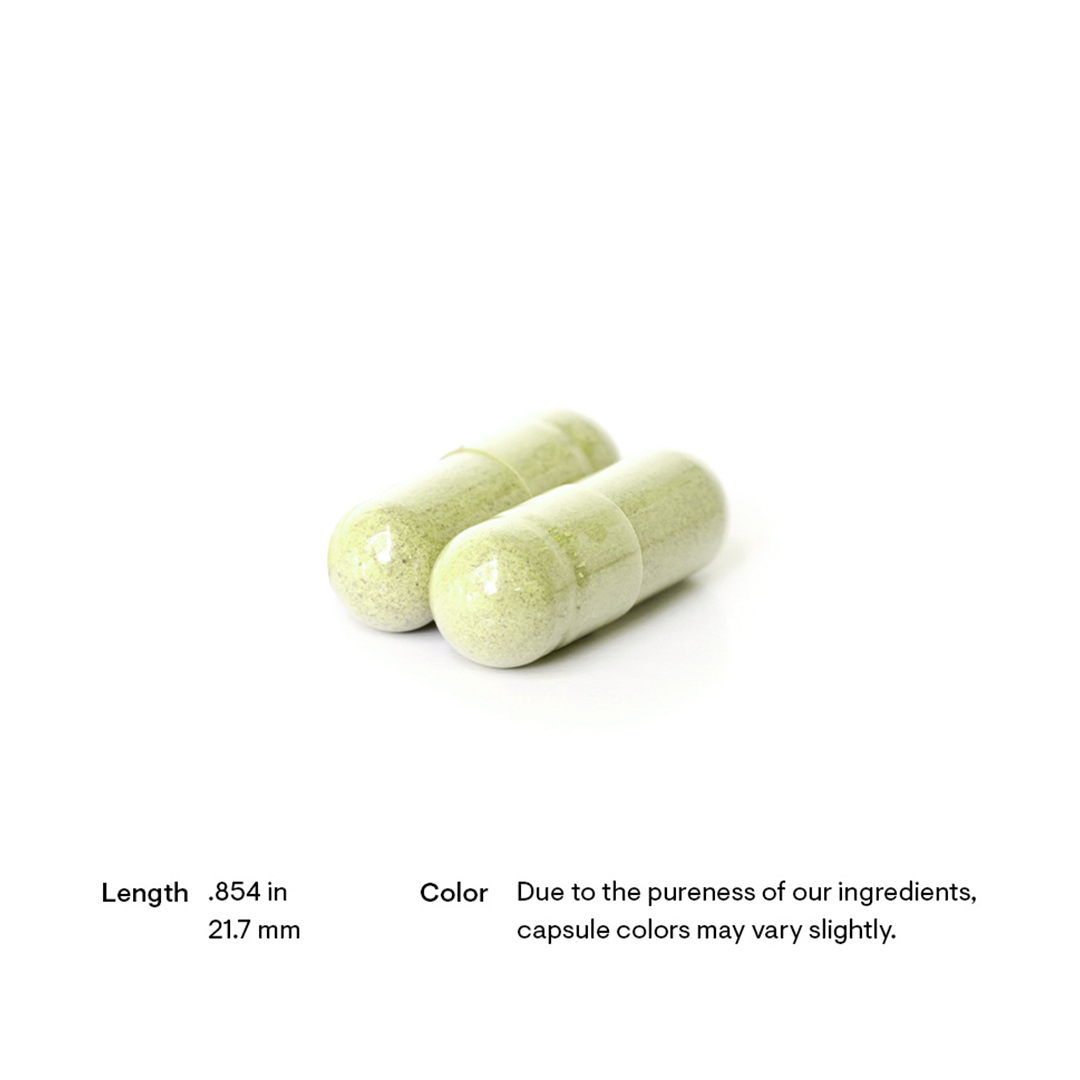 Quercetin Complex (Formerly Quercenase) - Image 5