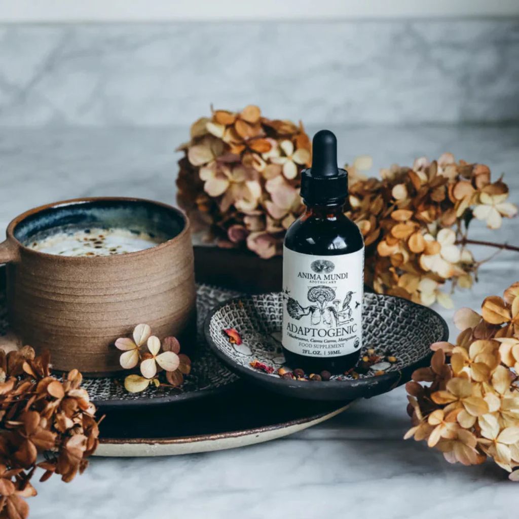 ADAPTOGENIC Tonic | Organic, 7 Medicinal Mushrooms + Cacao - Image 3